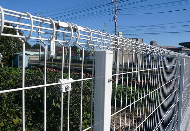 Square Post Double Loop Fence