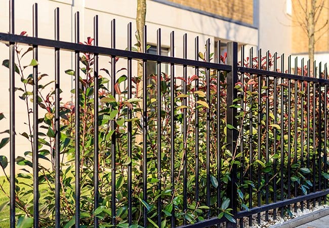 Spear Steel Bar Fence