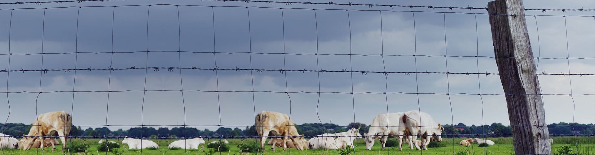 Farm Fence