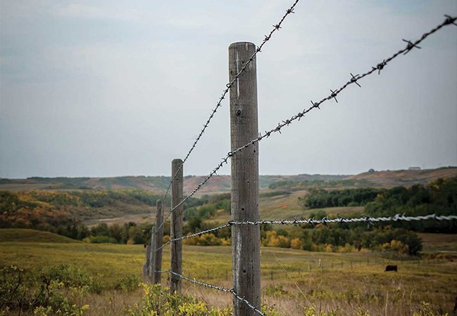 Barbed Wire Fence